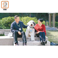 在救狗之家遇上了Jasper後，陳洪華與陳雁楓即被其可愛一面所吸引，並提出領養申請。