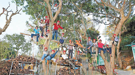 樹木工作是近年新興行業，吸引不少人報讀攀樹課程。
