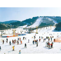 一共有28條滑雪道的龍平度假村是韓國一大滑雪場地，並成為2018年平昌冬奧的高山滑雪項目主賽場。