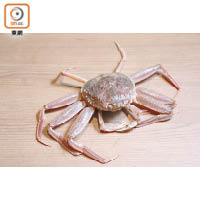 體積較細小的香箱蟹其實是雌性松葉蟹，蟹肉和蟹膏的分量雖然較少，但一樣鮮甜肉嫩多汁。