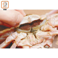 香箱蟹的最大特色就是蟹春極多，揭開蟹蓋可以見到裏面密麻麻的蟹春，帶來另一種口感。