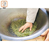 用手將茶葉放在微熱的窩上炒，隨即飄出陣陣茶香。