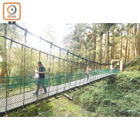兩條巨木群棧道之間有條吊橋，是旅客認路的地標之一。