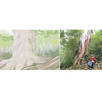 8：屋久島<br>地點：鹿兒島縣<br>位於日本九州大隅半島南方60公里的一個島嶼，整個屋久島山脈都由豐富的森林植物覆蓋，而最主要的樹種為柳杉，以1993年列入世界遺產的神木─繩文杉最為著名。