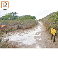 離開羗山經此分岔路，不用先急着往狗嶺涌引水道方向，續朝靈會山方向走。