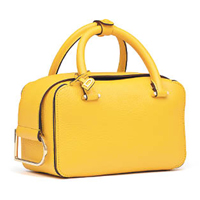 Delvaux Cool Box Mini黃色手袋 $23,800