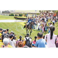 馬會致力推廣馬術，市民可於同樂日近距離接觸馬匹，包括欣賞馬術示範。