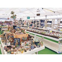 園藝店售賣各種觀賞植物及園藝工具。