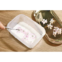 把鹽灑到櫻花上，用保鮮紙封好，醃漬一至兩天待其出水。