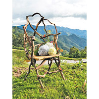 Wild Bodged Chair：話說Valentina某次於墨西哥南部的Oaxaca's Sierra高山上巧遇天才工匠Gabriel，二人採用當地拾獲的木材，共同創作此手作家具系列。
