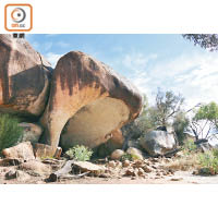 Hippo’s Yawn是同屬花崗岩的大石，經過侵蝕而演變成像河馬打呵久的形態。