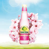 粉紅色的櫻花味Cider充滿少女味，應該最得女士歡心。