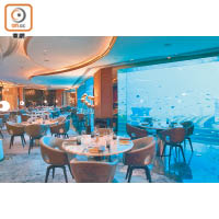 於Ossiano奧西亞諾海底餐廳，可以一邊欣賞海底世界一邊用餐。