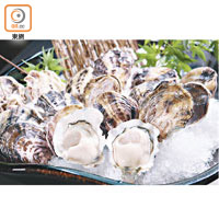 海男OTOFUSE蠔<br>即日至5月是當造期，蠔肉體積幾乎與蠔殼一樣大，蠔柱亦十分巨型，入口清甜且富淡淡海水味。