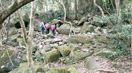 大隊會由虎蹤徑行到城門水塘，經林道、引水道落梨木樹後散隊。