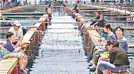 樂園提供垂釣懶人包，免費提供釣魚用具及自費魚餌，讓大家享受垂釣樂趣。