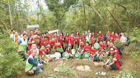 透過「植林優化計劃」種植本地原生樹苗，獲得員工支持。