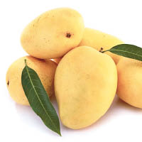 蜜糖杧（Honey Mango）<br>產地：巴基斯坦<br>當造期：7~8月<br>味道：酸度與甜度平衡、果肉有蜜糖的清香