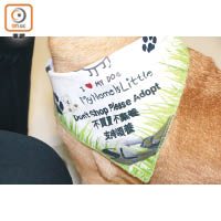 Suki深信在頸巾印上支持領養的字句，有助宣揚愛護動物的訊息。