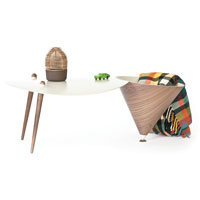 Cirkel Coffee Table<br>外形獨特的枱腳，貌似大喇叭，兼具儲物功能。