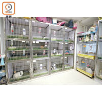 籠具以不銹鋼及防火板打造，為小動物提供安全舒適的環境。
