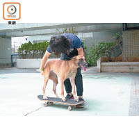 狗狗都識踩滑板，是不是很型呢？