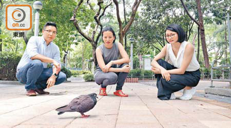 一班關注小生命的雀友組成了「香港救援鳩鴿及雀鳥」網上群組，希望糾正大眾對斑鳩、白鴿的錯誤觀點。