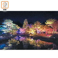 七彩幻變的燈光，把夜間的由志園打造成夢幻的庭園。