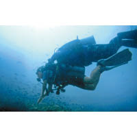 未有潛水員資格的團友由教練一對一貼身照顧，下潛速度、深度、水底導航、調節浮力等統統有專人代勞。