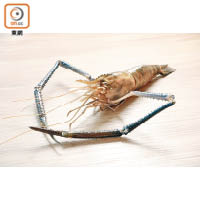 入秋後正值越南大頭蝦最肥美季節，肉多肥美、蝦膏亦分外濃郁甘香。