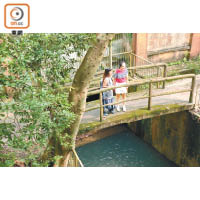向葵青慶回歸教育徑方向進發，路過小橋河澗，沿村徑步行，到達另一個水澗位置。