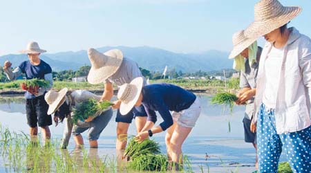 塱原的農耕式淡水濕地由400多塊農地組成，現為全港最大。