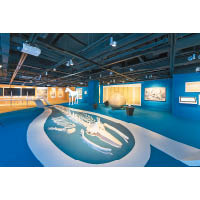 《角島鯨骨遊樂場》是以2014年於大埔紅石門發現的角島鯨骸骨為創作藍本。