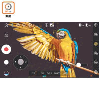 《ZY Play》手機App能預覽實拍畫面，並可經ViaTouch功能調校拍攝設定。