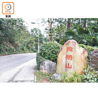 首先沿飛鵝山道上山，沿路都是馬路很好走。