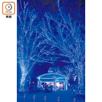 公園開設期間限定店「青之洞窟Blue Parks」，提供藍香檳等特色飲品。