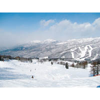 設有10條滑雪道的白鳥高原滑雪場，適合不同程度的滑雪愛好者。