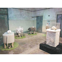 展廳內有上野動物園的動物骨頭與「便便」，大半是仿真品。