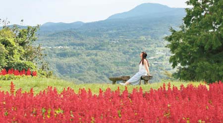 鳥取花迴廊面對着有伯耆富士之暱稱的大山，風景一流！