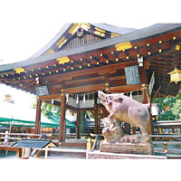 京都護王神社有野豬神社之稱，豬年來拜拜就最應節！