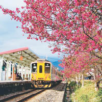 你有試過漫遊台灣的小鎮嗎？大家可在活動現場感受幸福櫻花鐵道的浪漫感。