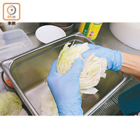 1. 剝開並洗淨高麗菜，用鹽醃20至30分鐘直至高麗菜只餘下一半大小。