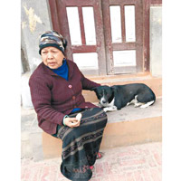 尼泊爾的社區狗隻喜歡與人親近，反映當地人平日會善待狗隻。