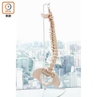 脊柱側彎的患者以青少年或小朋友為主，治療目標是糾正呈側彎的脊骨。
