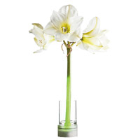 Living Light<br>由花瓶改造，以一根發光管道照明，中空位置更可插入鮮花作點綴。