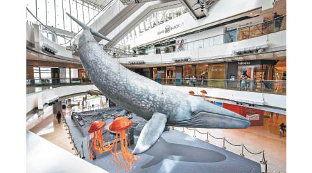 場內展出的實物模型「Cherish」，長達20米，形態仿照真實藍鯨製作。