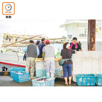 每日上午11時至下午3時，可看到漁船返回佐良濱港的熱鬧情況，值得去見識一番呢。