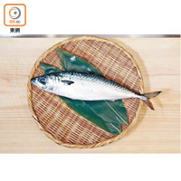 鯖魚味道濃郁，在秋冬季節特別鮮甜肥美，即使用鹽和醋醃製依然保持鮮味，是最傳統的箱押壽司口味。