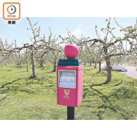 種植了2,300棵蘋果樹的弘前市蘋果公園，連信箱上都有蘋果裝飾。