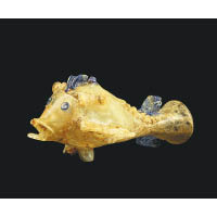 歷史可追溯至公元一世紀的玻璃魚，內壁殘留芳香油，估計它是盛載精油或油膏的容器。